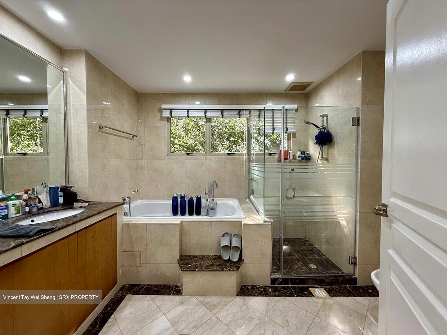 Stevens Road (D10), Condominium #498481851